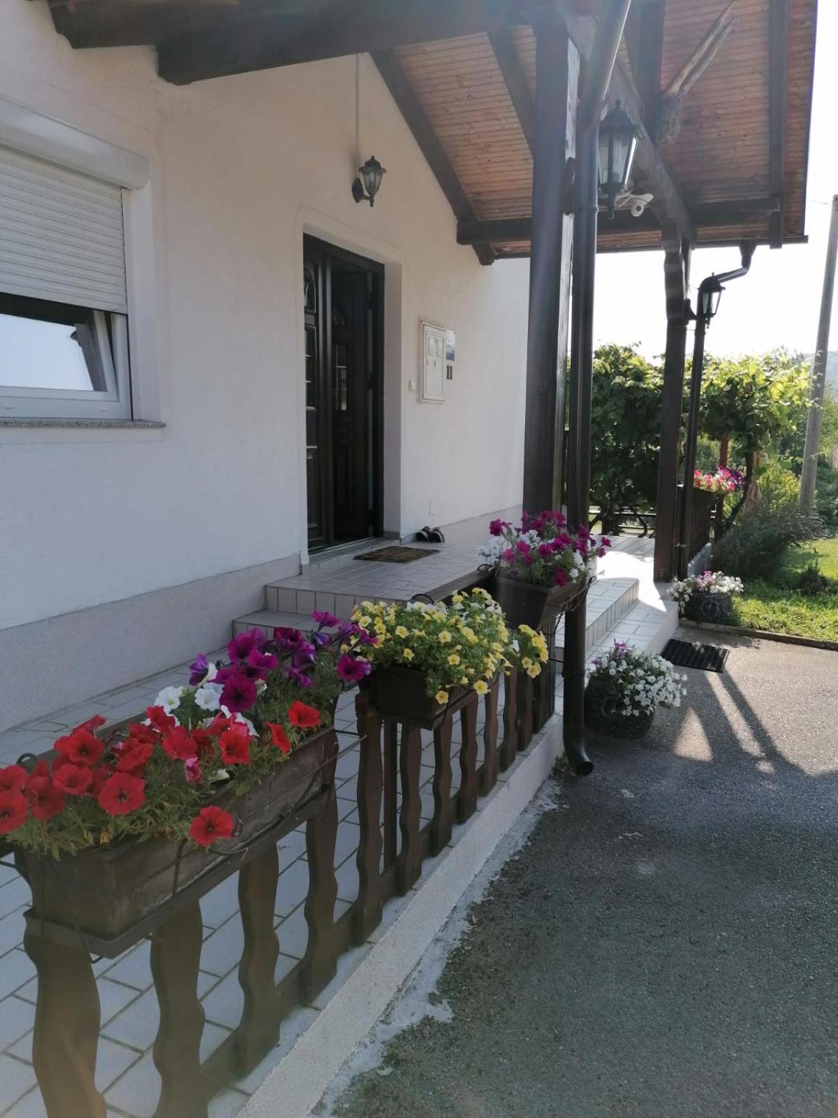 House Viktoria Hotel Seliste Dreznicko Exterior photo