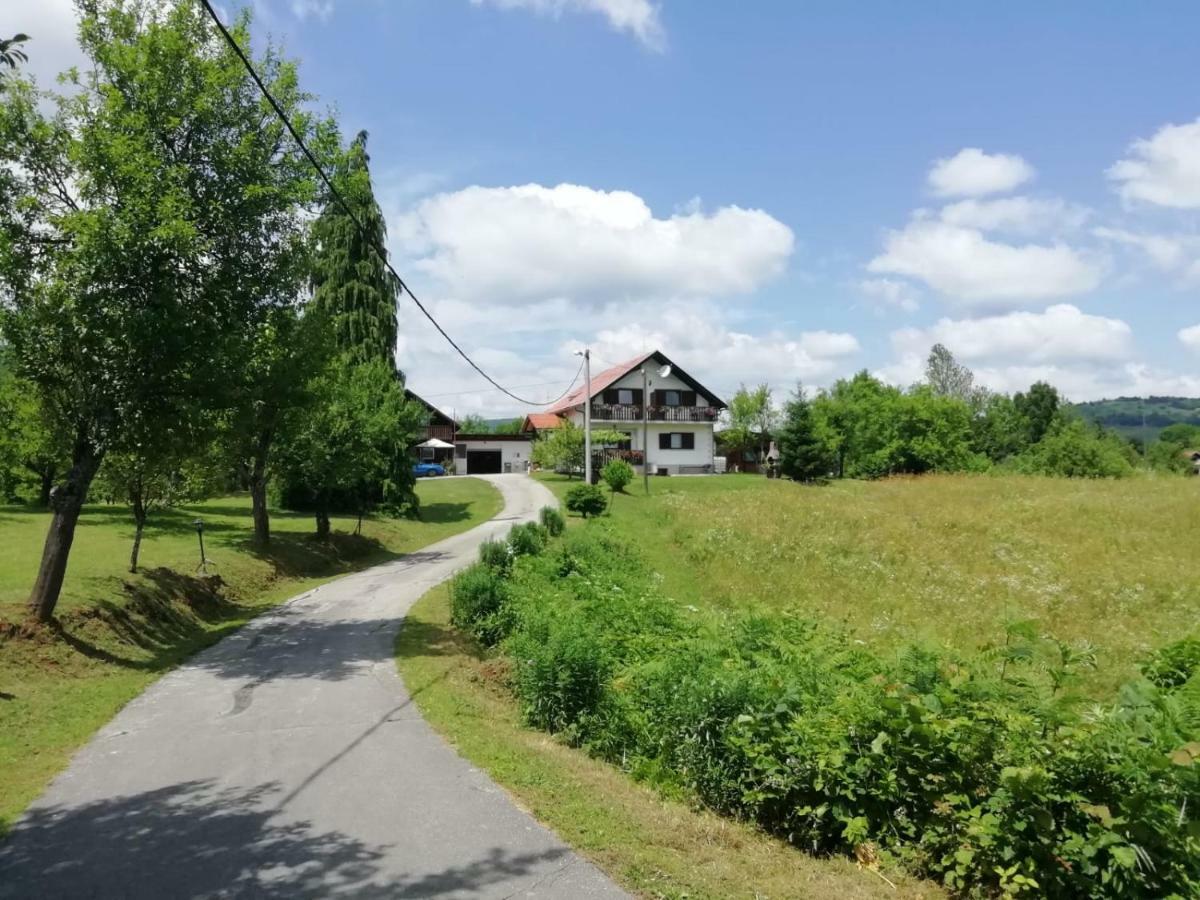 House Viktoria Hotel Seliste Dreznicko Exterior photo