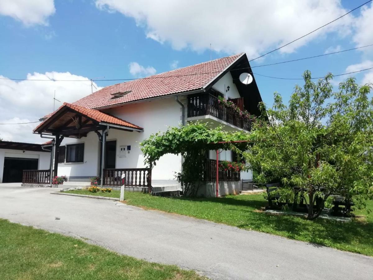 House Viktoria Hotel Seliste Dreznicko Exterior photo