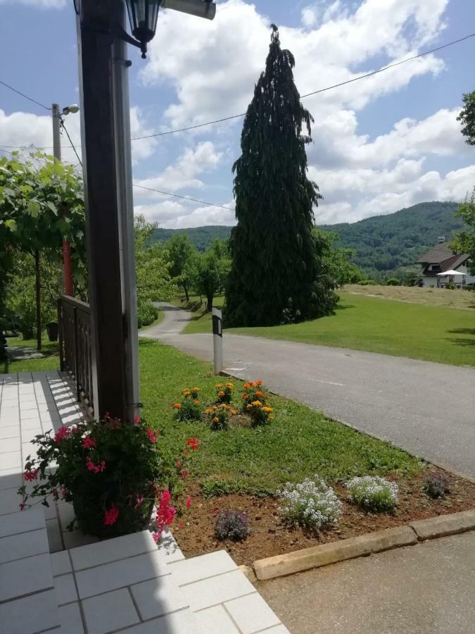 House Viktoria Hotel Seliste Dreznicko Exterior photo